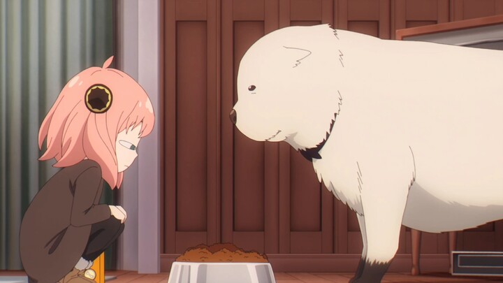 Anya: What? I will eat dog food secretly!!!