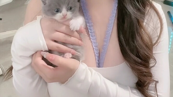 แม่เสือแห่งเสฉวน-ฉงชิ่งและลูกเสือตัวน้อยของเธอ!