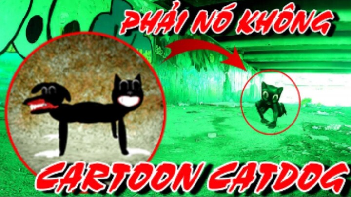 Tìm Được Hang Ổ CARTOON CATDOG Bị Tấn Công Hư CAMERA|wefi ghost