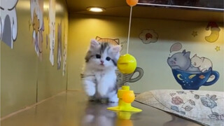 การล้มครั้งนี้ดิ่งลงไปถึงใจเลย