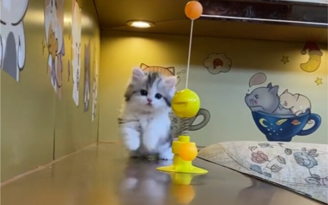 这一跌直接跌进了心里去