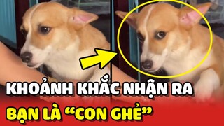 Khoảnh khắc cô gái nhận ra mình chỉ là "CON GHẺ" trong nhà 😂 | Yêu Lu