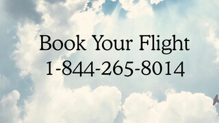 Complete℠ {List}™ Of Wizz® Air® Official Customer Service™ USA Contact Numbers: A Step-by-Step