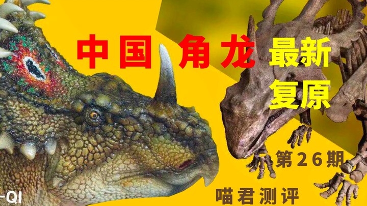 【全网首发】原来中国角龙现在长这样！！中国角龙最新科学复原恐龙模型测评