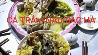 Cá trắm nấu dọc mùng và ếch nấu măng.tiếp khách sapa về chơi. Biển Nguyễn ngọc