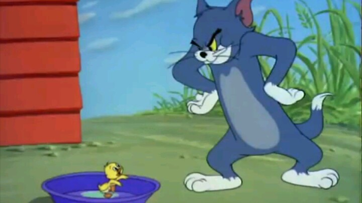 Tom and Jerry - Anak Bebek (Sub Indo)