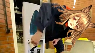 罗 德 岛 智 力 天 花 板