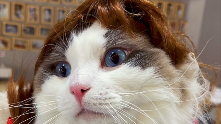 ขนาดหัวล้านยังไม่แคร์แล้ว ยังจะมีเรื่องอะไรให้กังวลอีก?