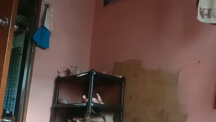 makulit na bata