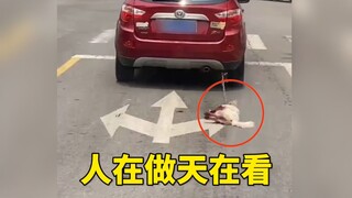 地狱空荡荡，恶魔在人间！
