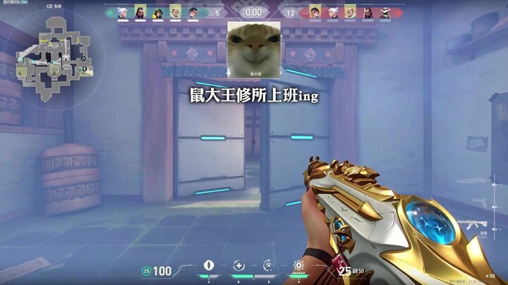 鼠大王开始了新的一天瓦班ing...