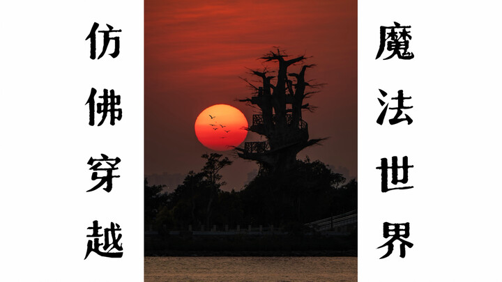 ฉันใช้เลนส์เทเลถ่ายโลกเวทมนตร์ที่เคยเห็นแค่ในหนัง!