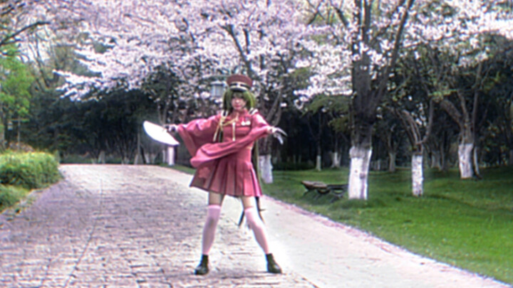 Thousand Cherry Trees / Senbonzakura