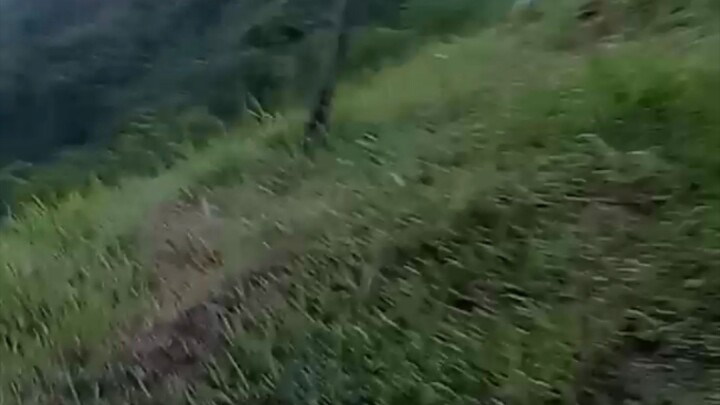 hi