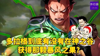 多拉格到底有没有在神之谷获得那颗暴风之果？#1976