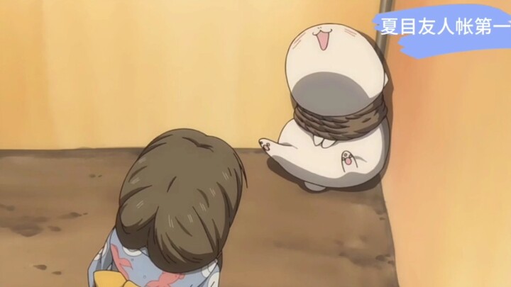 Cô giáo mèo khốn khổ