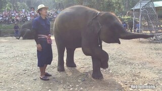 ทำไมน้ำเพชรฉลาดและเก่งแบบนี้ลูก