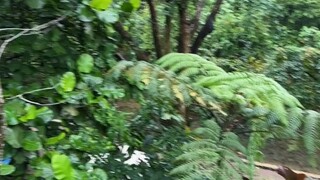 我經常的態度就是敢騙我就死定了，但真騙我也懶得管了⋯
