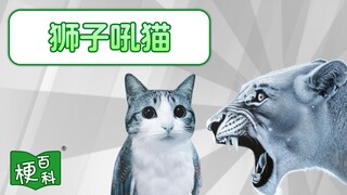 [Internet Slang Encyclopedia] What's the deal with "Lion's Roar, Little Owl"? Bro, I was wrong...