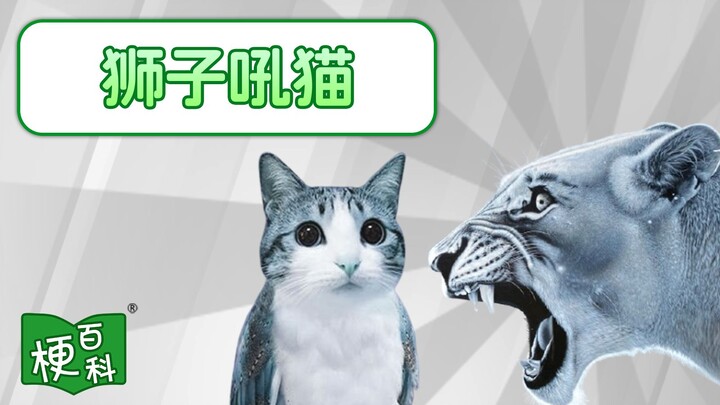 [Internet Slang Encyclopedia] What's the deal with "Lion's Roar, Little Owl"? Bro, I was wrong...