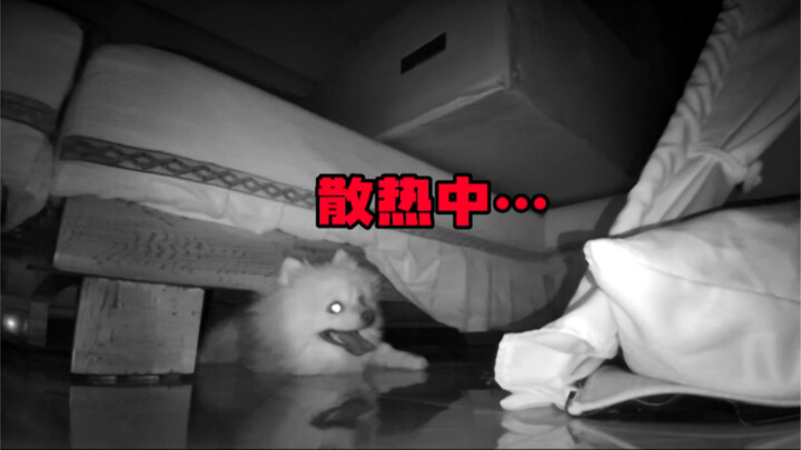 Misunderstanding! It’s all a misunderstanding!