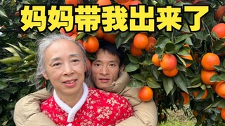 Mom took Xinge to sell fruit, rose blood oranges from my hometown