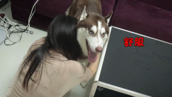 Sang majikan perempuan dalam pandangan si anjing peliharaan, dan sang majikan laki-laki dalam pandan