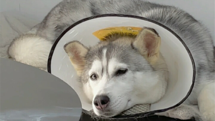 أنا فقط أذكر الأمر عرضًا، لكنك تتعامل معه هكذا، فسيكون من الصعب عليّ أن أخرج من الموقف.