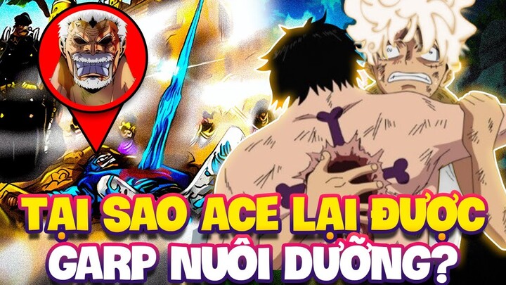 TẠI SAO ROGER LẠI ĐỂ GARP NUÔI ACE?!