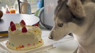 It was a truly unforgettable birthday.