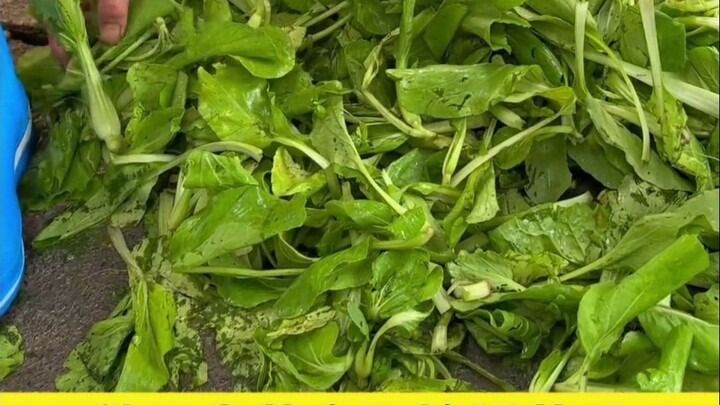 Sinh viên mới ra trường làm thế nào để nấu ăn vừa tiết kiệm lại vừa tươm tất