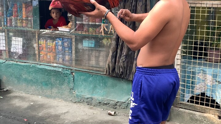 second fight of kabier line win again