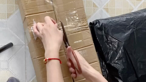 The fourth blind box series has officially wrapped up with its final installment.