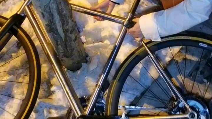 Which came first, the bicycle or the tree?