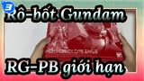 Rô-bốt Gundam|[Đập hộp] Người chế tạoRô-bốt Gundam phiên bản người đóng! RG-PB giới hạn_3