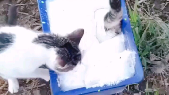 หยดๆ หยดๆ