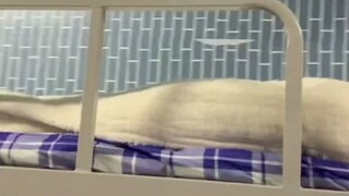 اضغط قلبًا صغيرًا يا حبيبي (2)