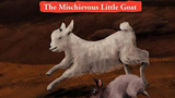 The mischievous little goat in danger😱😱