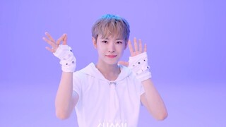NCT WISH最新回归曲COLOR舞蹈版公开