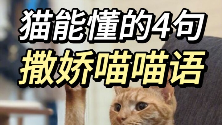 Quickly get a clingy cat