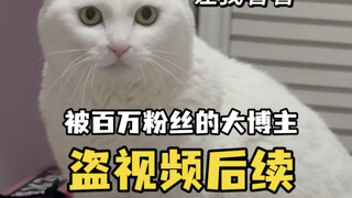 Mom Jokes: Turn the world to mute and listen to my voice breaking down #VideoStolen #CatDailyLife #F