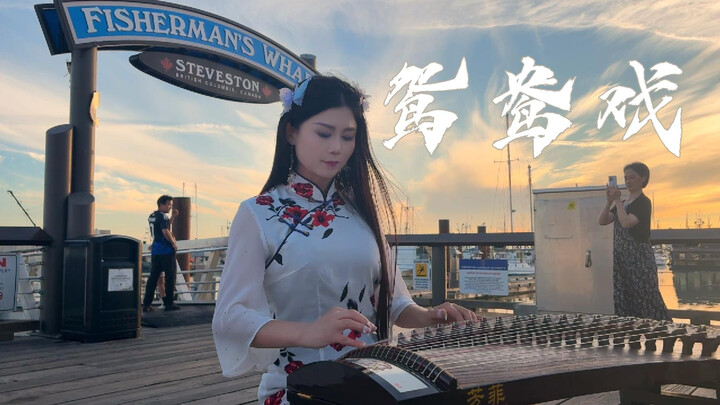 Permainan guzheng “Mandi Angsa” dalam nada G | Aduh, kekasihku, janganlah bersedih