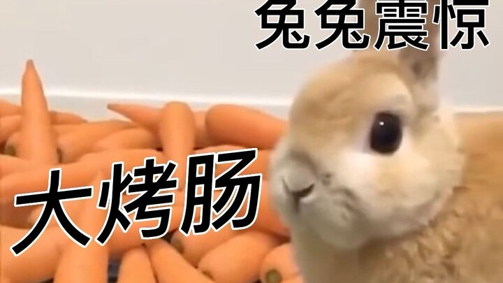 Siapa yang masih ingat kalau dulu karakter Xiao Chao awalnya berbentuk kelinci?