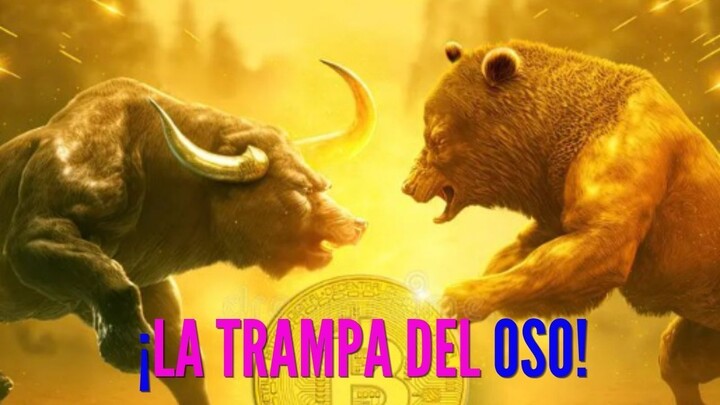 LOS osos dueños de BITCOIN están en problemas