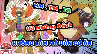 Tìm hiểu: HM, TM, TR và những cách học CHIÊU THỨC MẠNH không cần lên Level của Pokemon | PAG Center