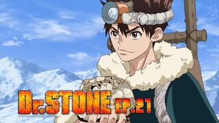 Dr.Stone ดร.สโตน เจ้าแห่งวิทยาศาสตร์กู้คืนอารยธรรมโลก ตอนที่ 21 พากย์ไทย