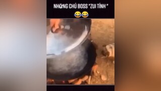 Những chú boss zui tính 😂😂yeudongvat fyp pet thucung dongvathaihuoc dog