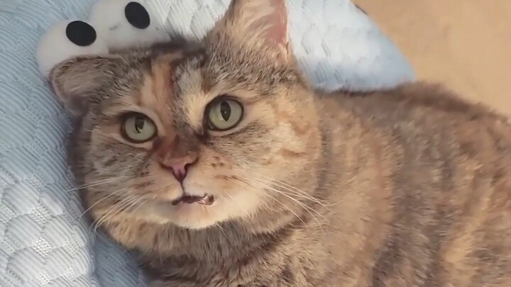 Mom said my voice is a bit strained today.