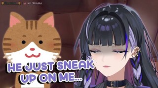 Meloco Get Jump Scare by Her Own Cat [Nijisanji EN Vtuber Clip]