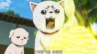 银魂中笑到喷饭的名场面（五十六）